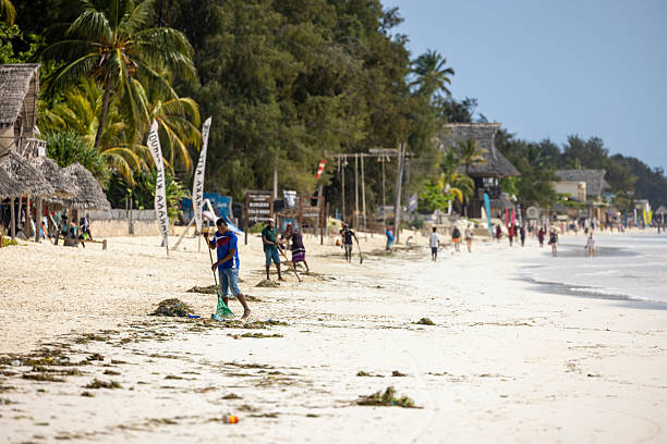 Restoring Tanzania's Ecosystems: Community-Led Conservation Efforts