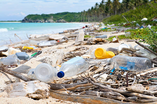 Plastic Waste Legal Framework Study