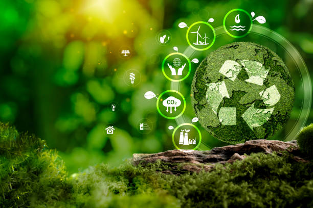 Environmental sustainability